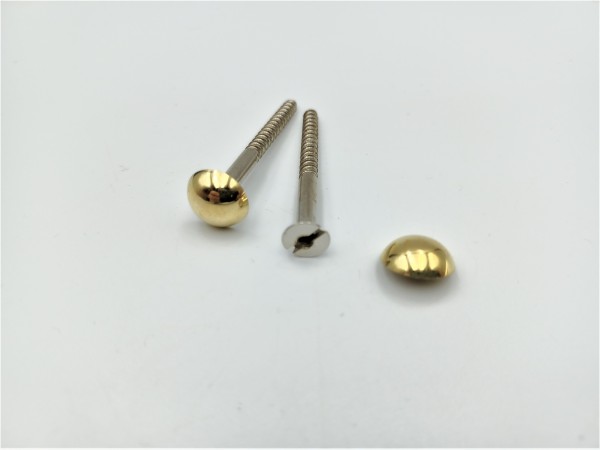 2 inch screws with dome caps in brass 13mm head