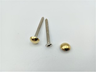 2 inch screws with dome caps in brass 13mm head
