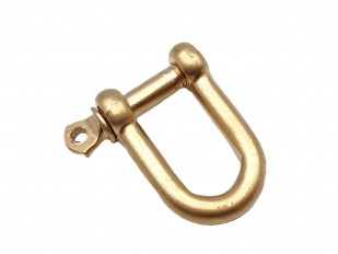 Gold coloured shackles 