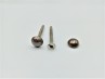 2 inch screws with dome caps in antique brass 13mm head